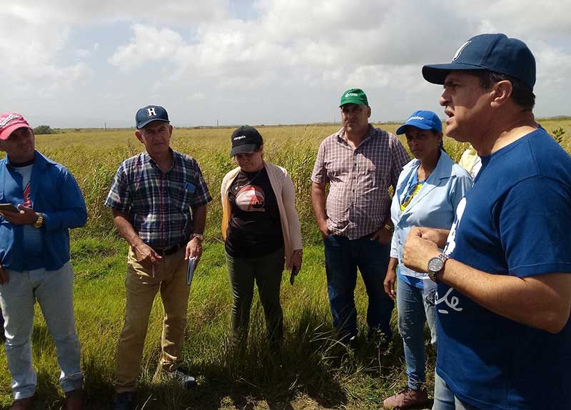 Mayarí autoridades Holguín ATH 0