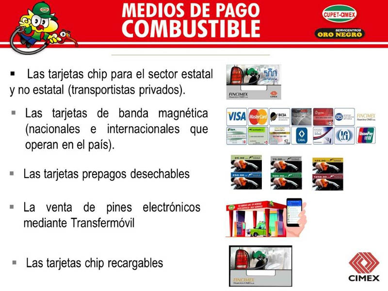 cimex 3