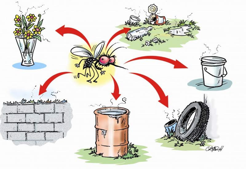 dengue prevención1