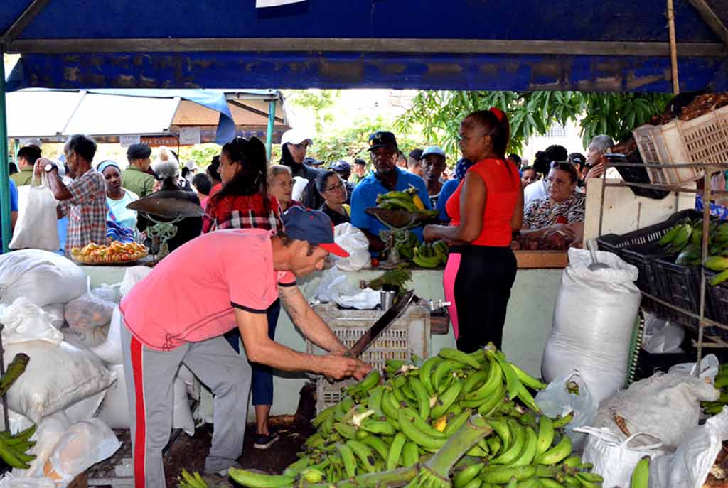 feria fin de año 03