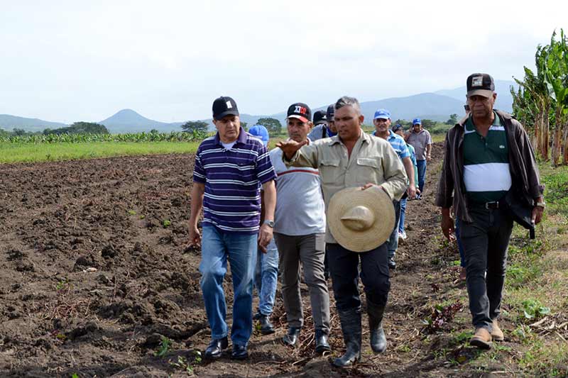 polo productivo mayarí 11