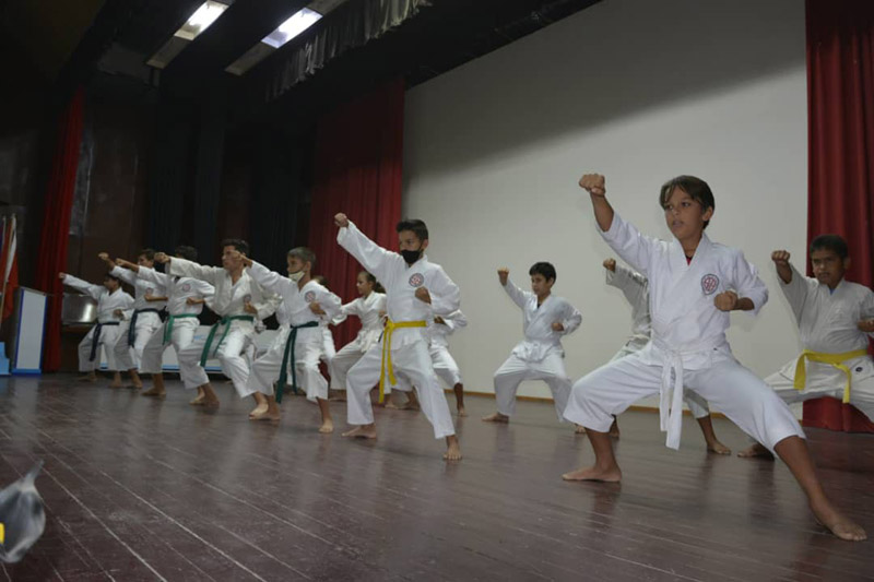 Artes marciales 1