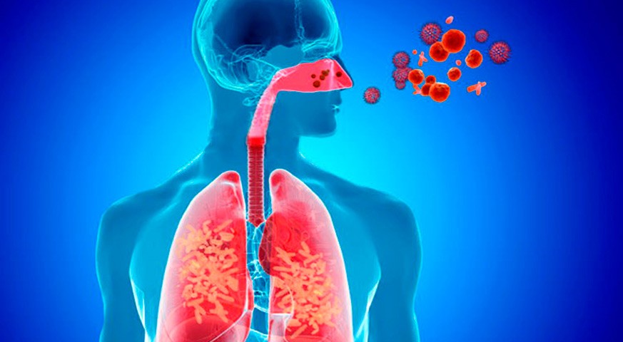 Enfermedades respiratorias1