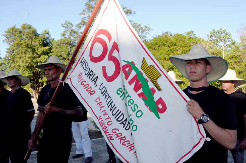 Pinar del rio anap brigada ELA 5