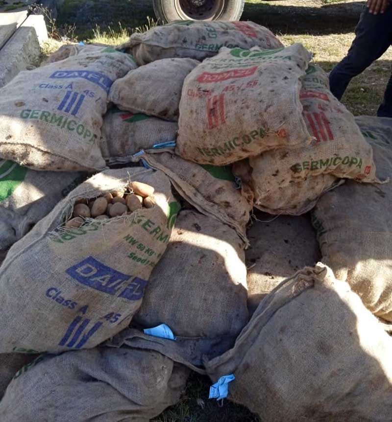 Fue interceptado un camión procedente de otra provincia, que vendía a carretilleros plátanos, papas y fongo. Los productos decomisados se entregaron a los tres hospitales provinciales, para reforzar la alimentación de los pacientes ingresados. Fotos: Cortesía de la DIP ilegalidades enfrentamiento 5