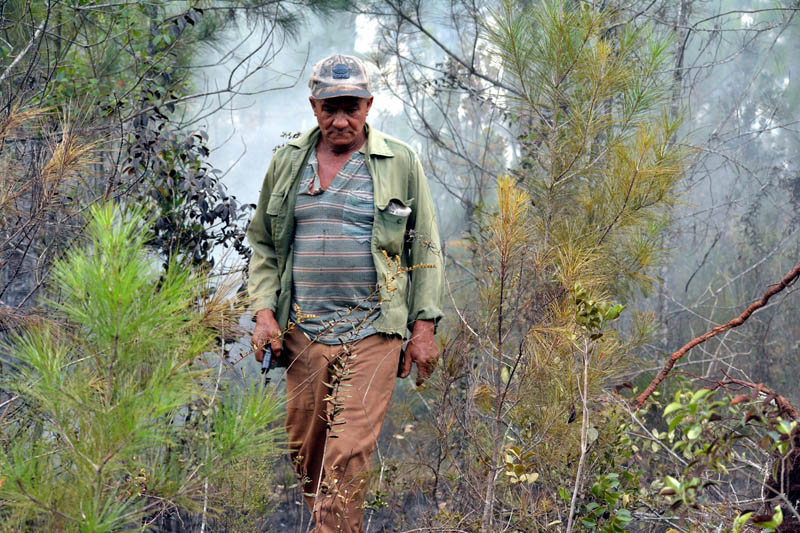 Incendio Mayarí 10