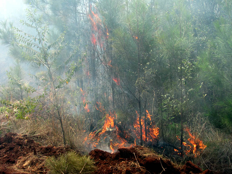 Incendio Mayarí 2