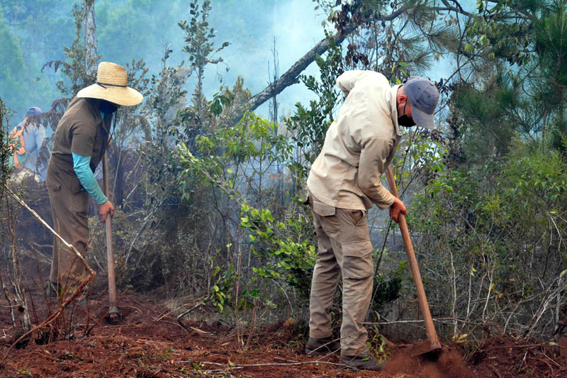 Incendio Mayarí 3