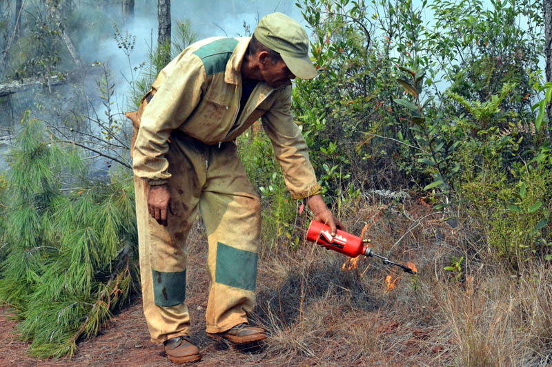 Incendio Mayarí 5
