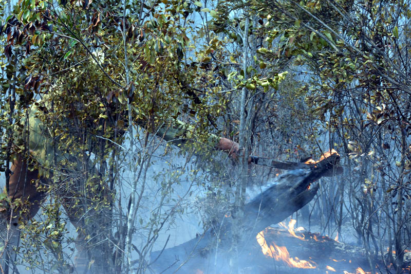 Incendio Mayarí 7