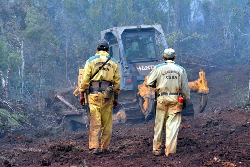 Incendio Mayarí 9