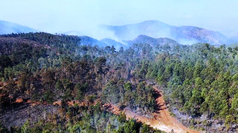 incendio forestal 768x429
