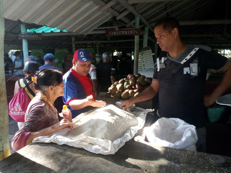 Precios mercado 4