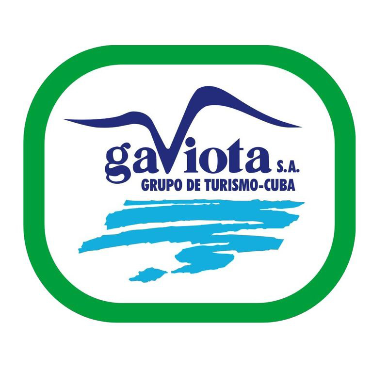 Logo Gaviota1