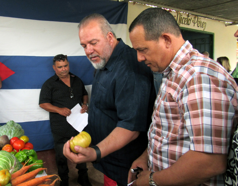Marrero Gibara 10