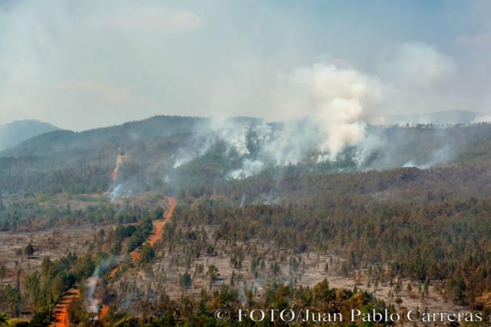 Mayari incendio