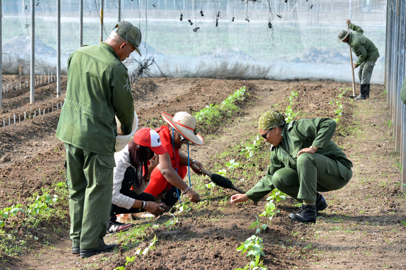 jovenes trabajovoluntario 25