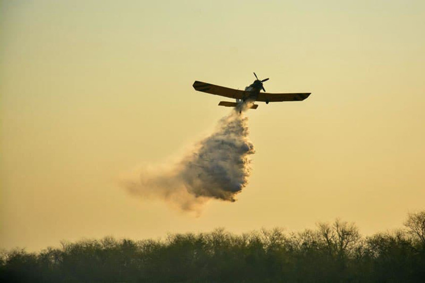 piloto