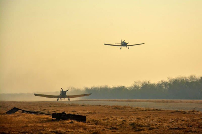 piloto 5