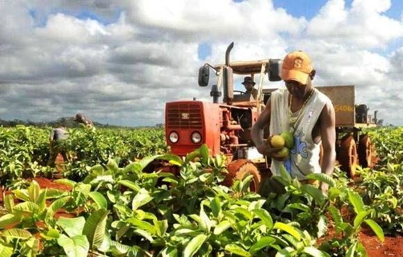 soberania alimentaria cuba