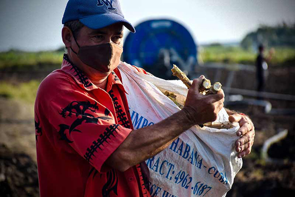 Día campesino 1