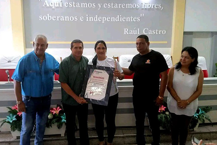 holg miniindustria