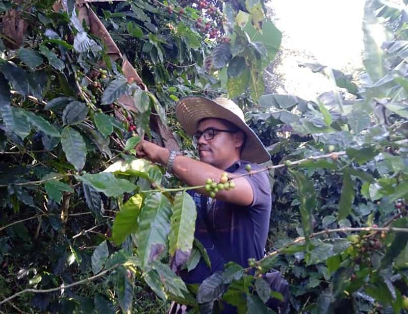 producción 2