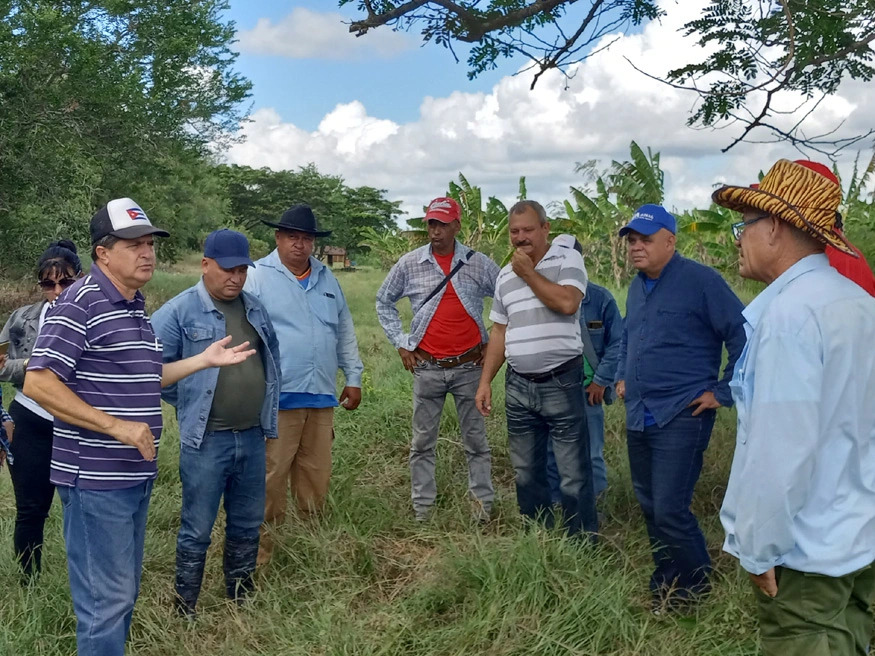 polo agricola magueyal