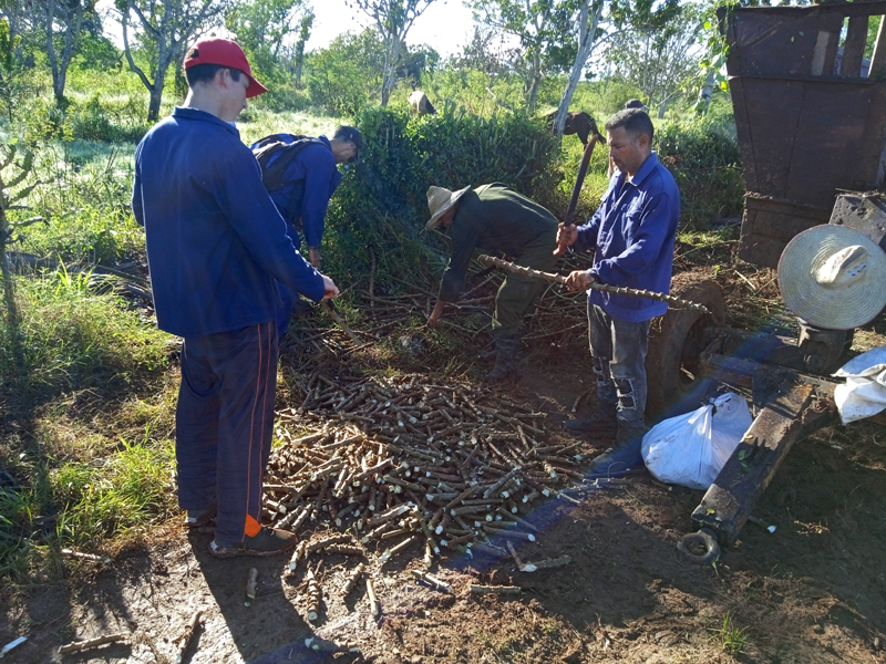 Fotos: del autor trabajo voluntario1