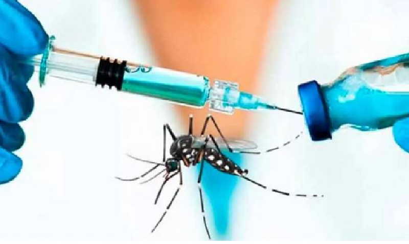 vacuna dengue
