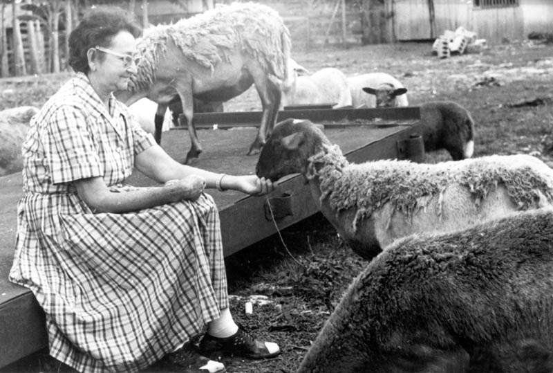 Lina Ruz en su casa de Birán, en 1958. Foto: Oficina de Asuntos Históricos del Consejo de Estado/Sitio Fidel Soldado de las Ideas 01