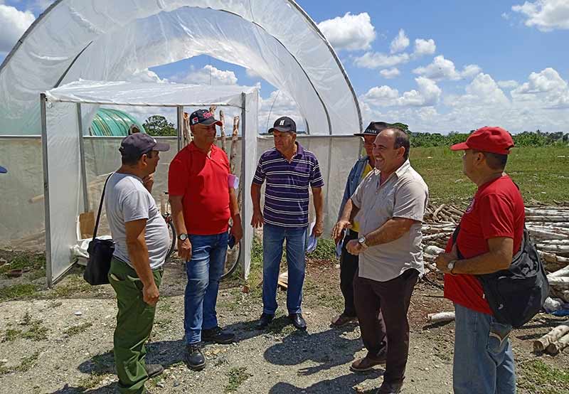 agricultura urbana 1