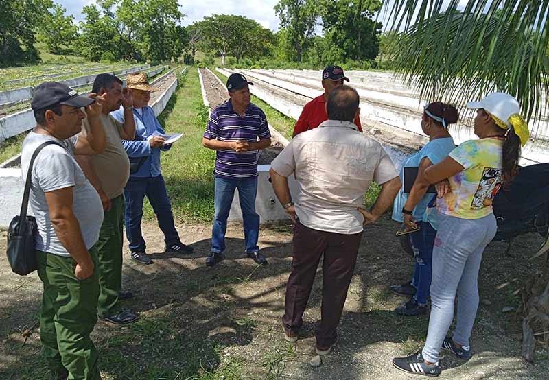 agricultura urbana 2