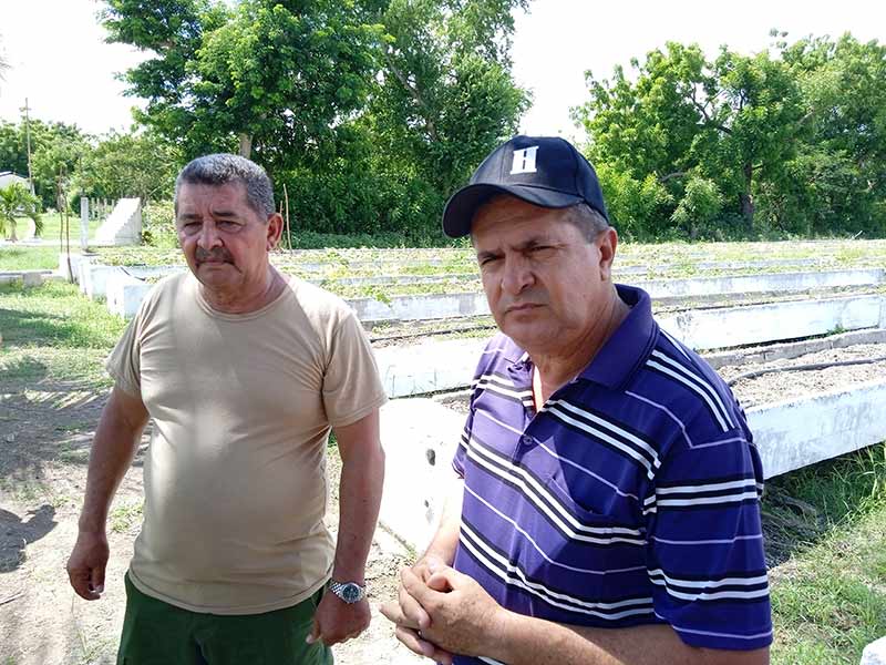 agricultura urbana 3