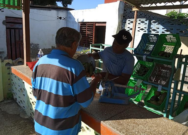 Los precios concertados se aprueban en el Comité de Contratación del municipio luego de un análisis de los factores para acordar las partes involucradas. precios 1