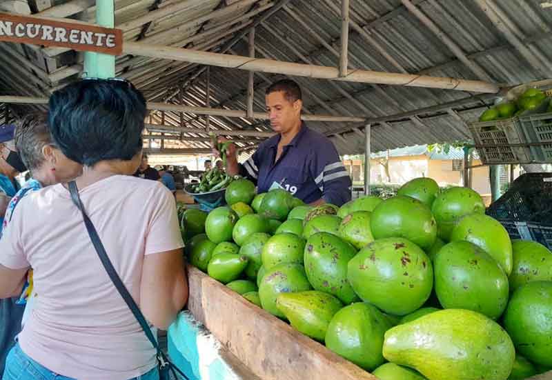 precios holguín 1