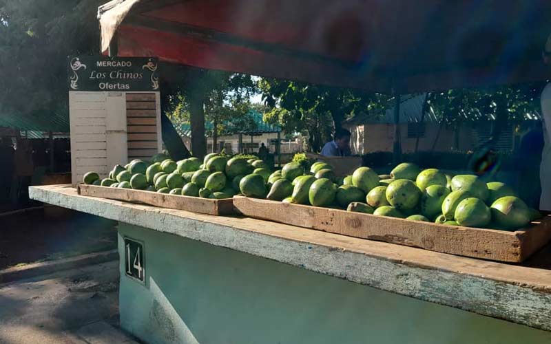 precios holguín 6