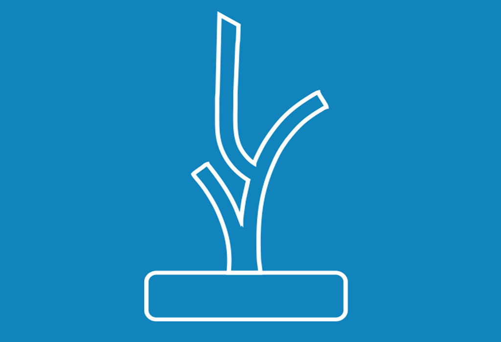 premio coral