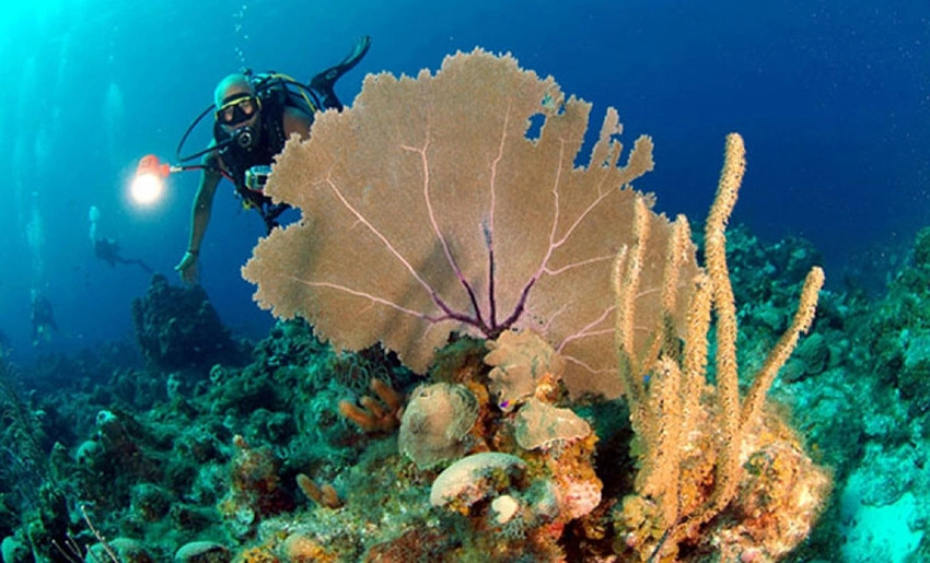 arrecifes coralinos holguin