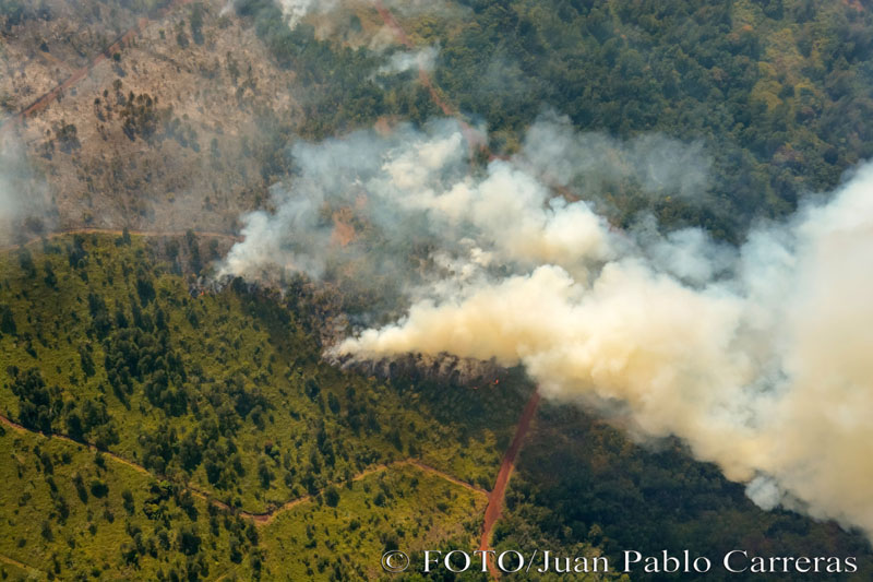 incendio mayari 6