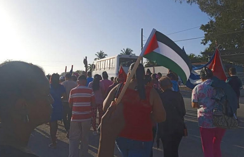 marchapalestina6