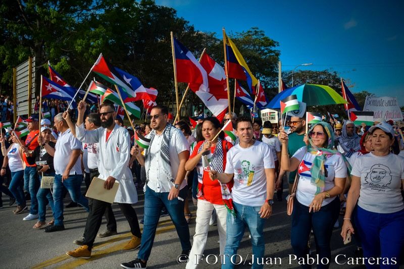 palestinaholguin3