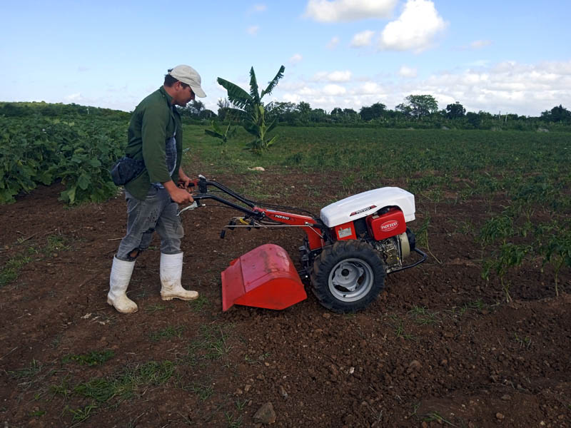 proyecto agrícola Urbano Noris 1