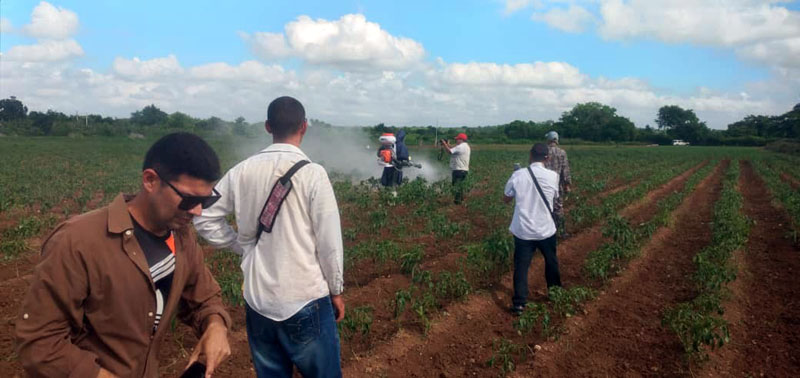 proyecto agrícola Urbano Noris 2