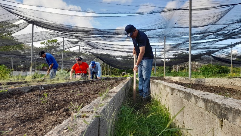 trabajo voluntario trabajadores 1