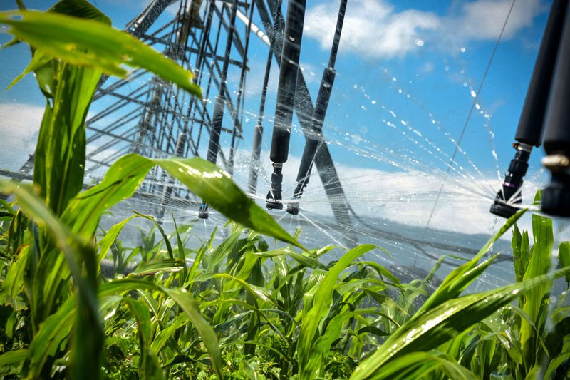 agricultura