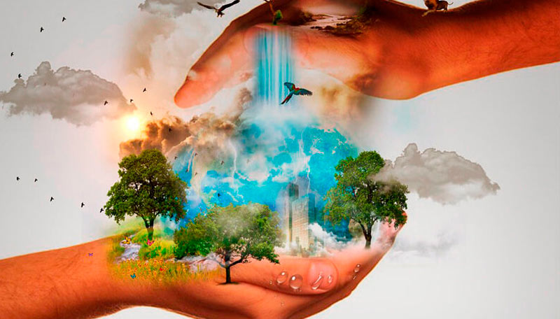 medio ambiente
