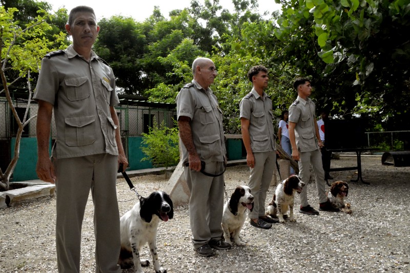 técnica canina 03