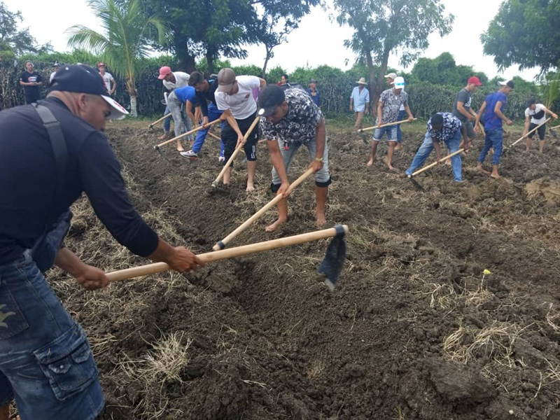 jovenesbiran5