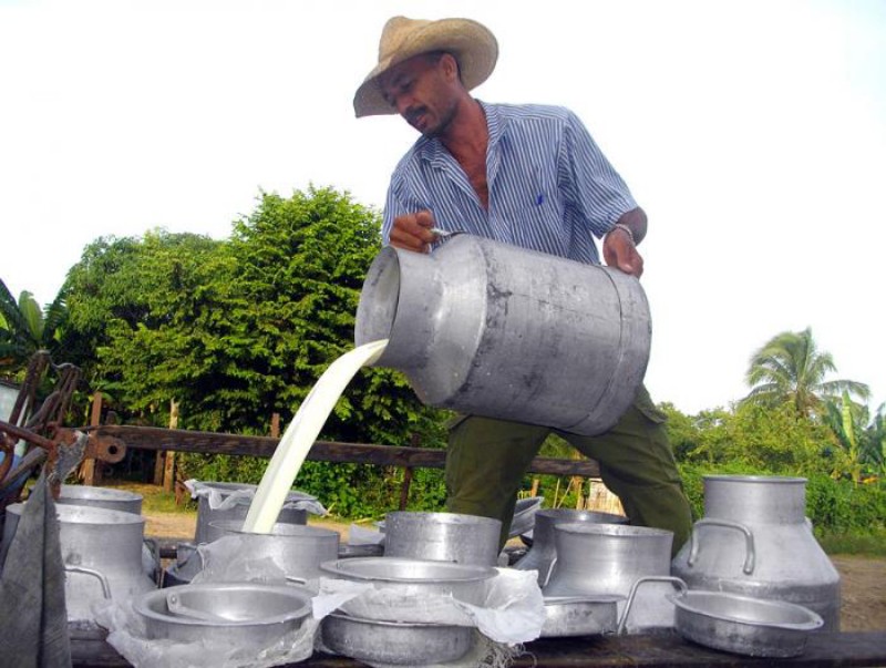 producción leche 01